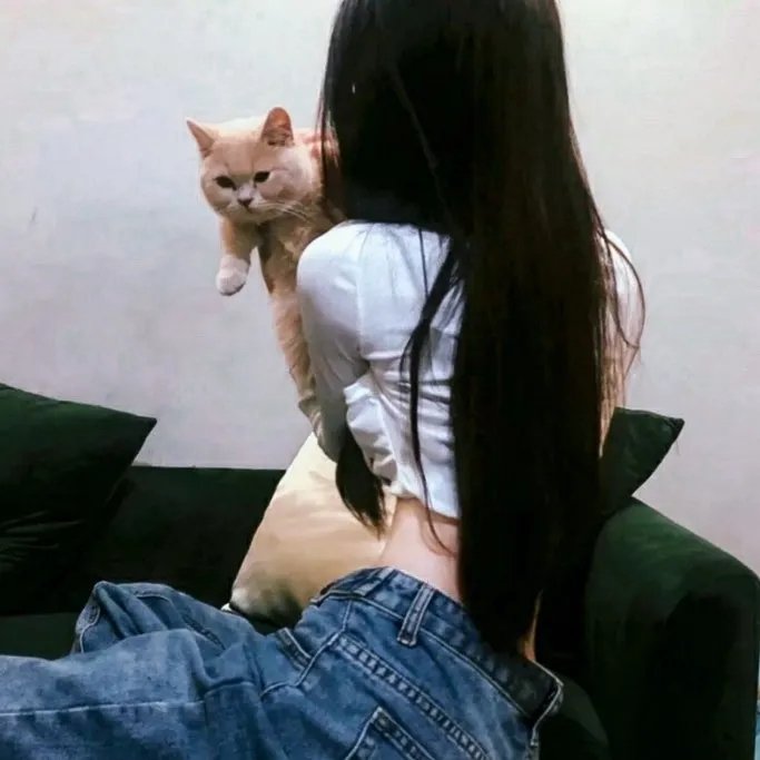 单人房的天使